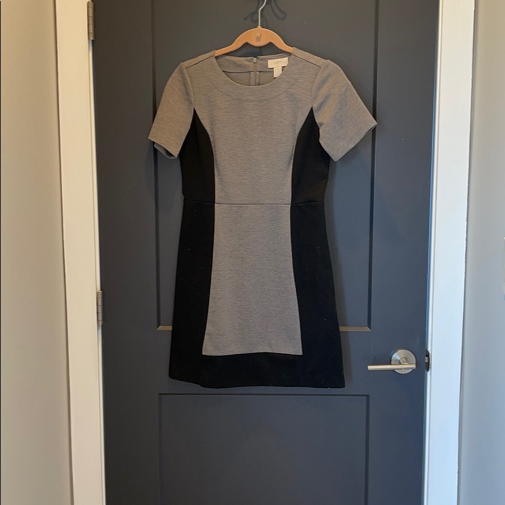 LOFT Dress